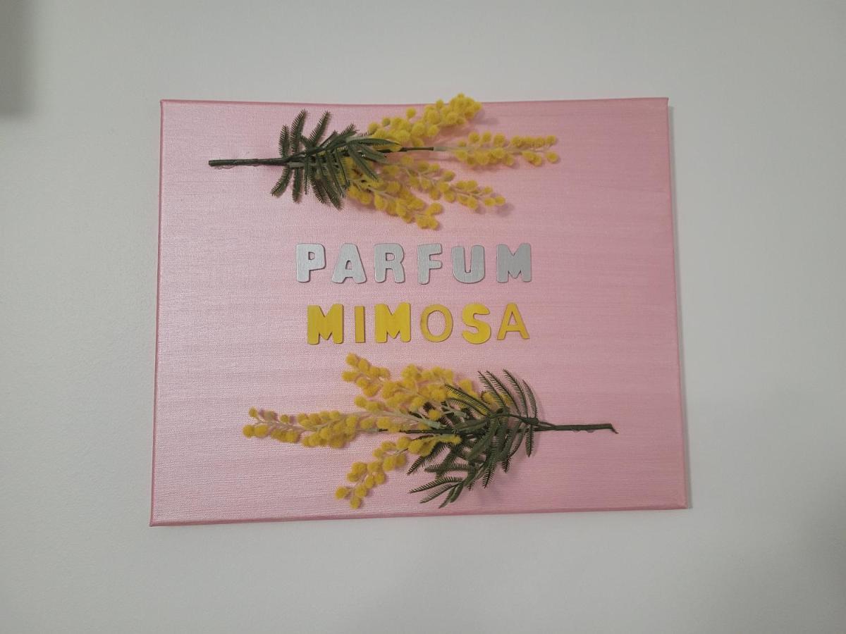 Parfum Mimosa Apartment Grasse Exterior foto