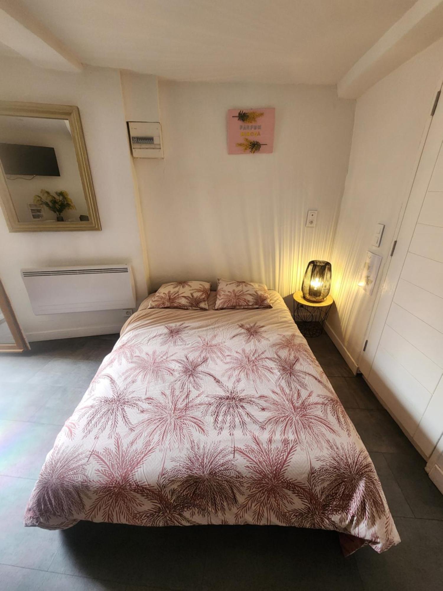 Parfum Mimosa Apartment Grasse Exterior foto